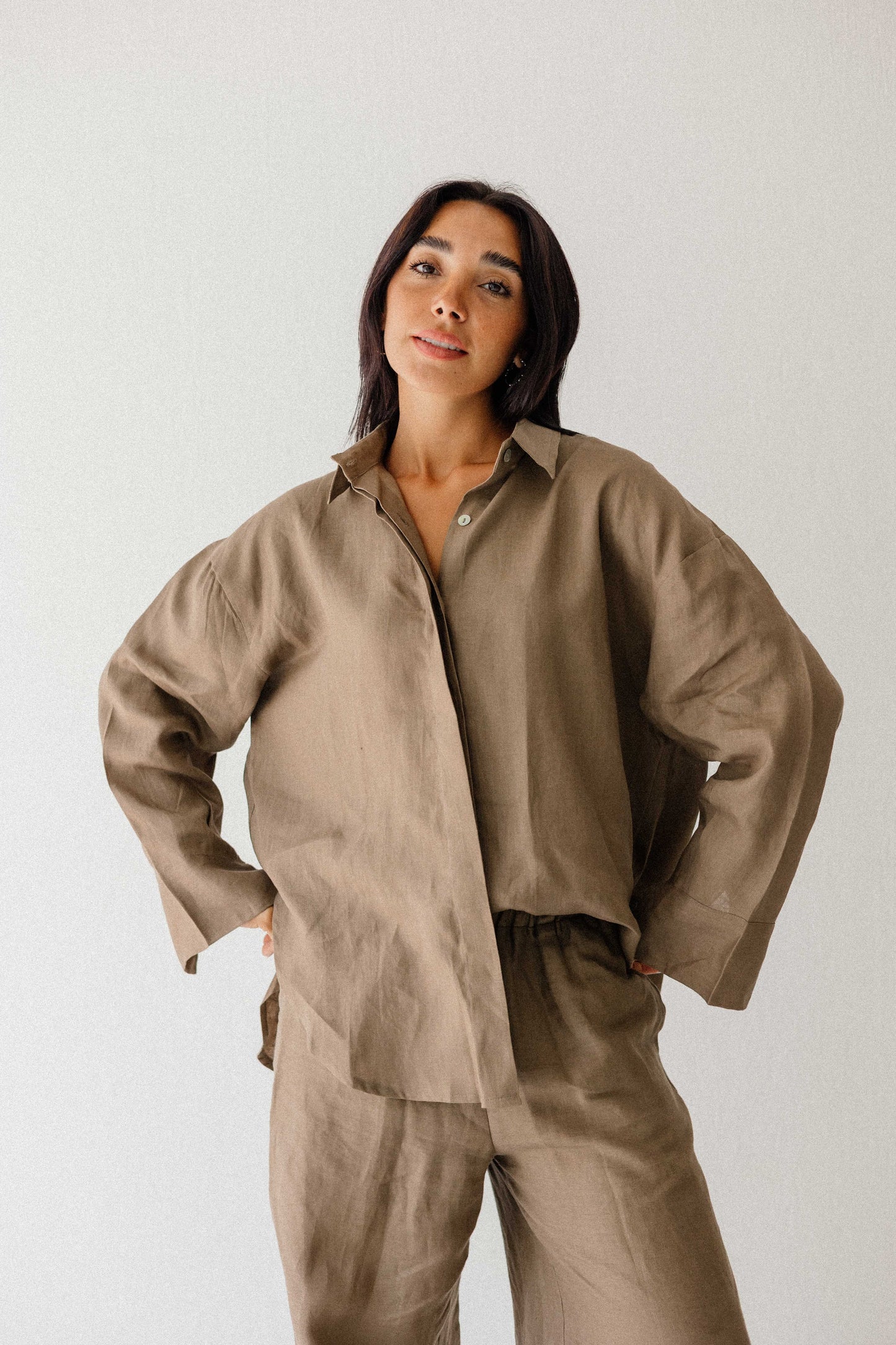Daily Linen Shirt In Light Brown