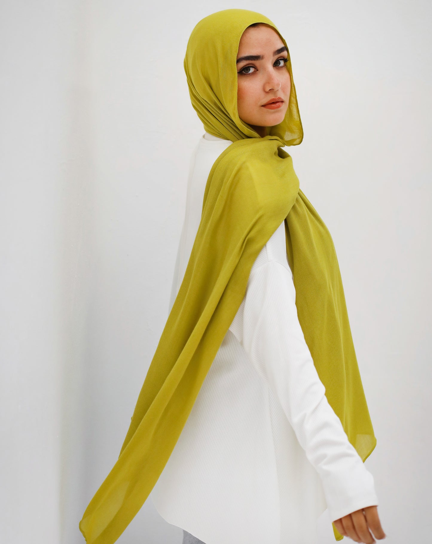 Limegreen in modal